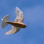 PigeonBot