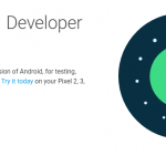 android 11 developer preview
