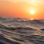 Progetto tidal di alphabet: aiutare i pescatori e il pianeta %progetto tidal di alphabet: aiutare i pescatori e il pianetacount(title)% Progetto tidal di alphabet: aiutare i pescatori e il pianeta