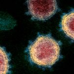 Coronavirus cov19: l'ai prevede l'andamento della pandemia %coronavirus cov19: l'ai prevede l'andamento della pandemiacount(title)% Coronavirus cov19: l'ai prevede l'andamento della pandemia