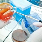 Corpo umano artificiale: riprodotti 5 organi vitali %corpo umano artificiale: riprodotti 5 organi vitalicount(title)% Corpo umano artificiale: riprodotti 5 organi vitali