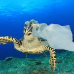 Sentinel-2: il satellite che rintraccia la plastica nei mari %sentinel-2: il satellite che rintraccia la plastica nei maricount(title)% Sentinel-2: il satellite che rintraccia la plastica nei mari
