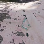Neve rosa sulle alpi: un 2020 che ricorderemo a lungo