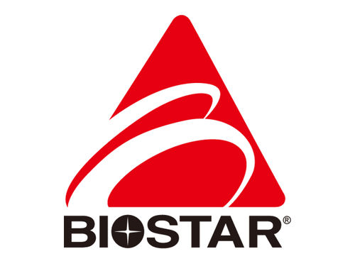 Biostar RX 5000 custom - dettagli