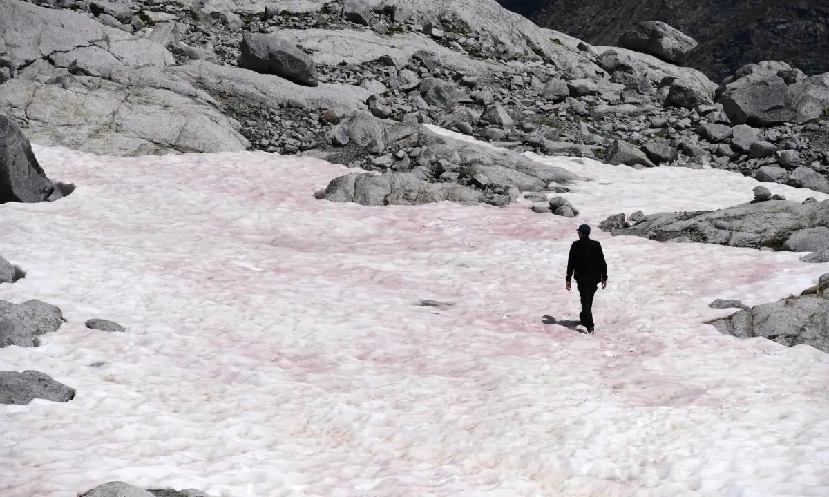 Neve rosa sulle alpi