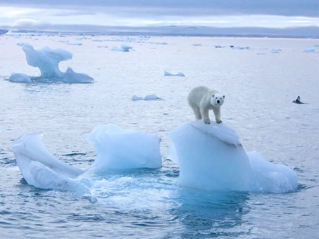 Temperatura record per l'Artico