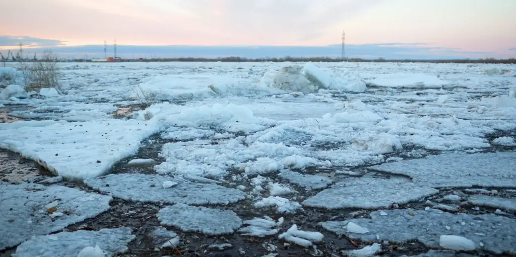 Temperatura record per l'artico