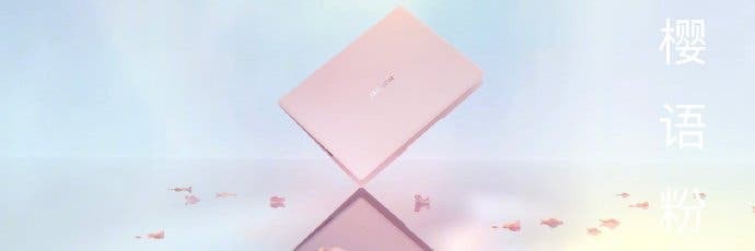 Huawei MateBook X - rosa