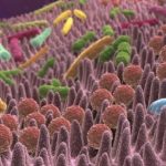 Il microbiota intestinale aiuta a combattere il cancro %il microbiota intestinale aiuta a combattere il cancrocount(title)% Il microbiota intestinale aiuta a combattere il cancro