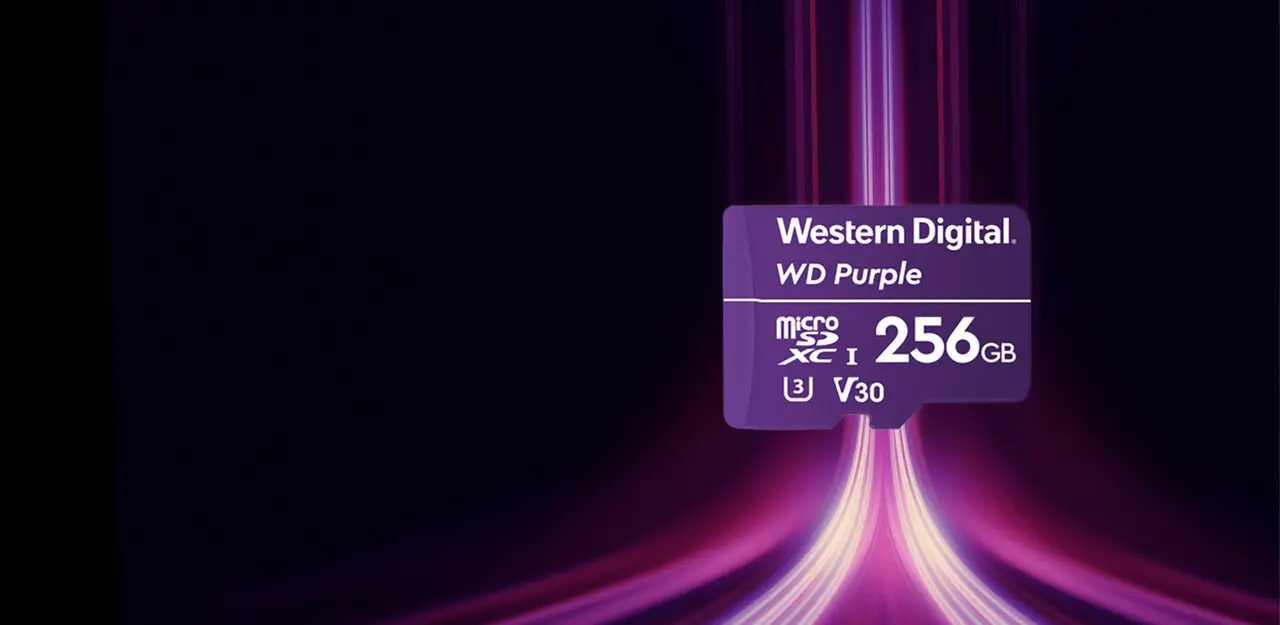microSD WD Purple