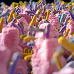 I microbi intestinali hanno viaggiato con l'uomo per millenni: ora li stiamo perdendo %i microbi intestinali hanno viaggiato con l'uomo per millenni: ora li stiamo perdendocount(title)% I microbi intestinali hanno viaggiato con l'uomo per millenni: ora li stiamo perdendo