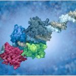 Quando il fattore di trascrizione "sbaglia" a legarsi nel dna