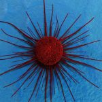 Le phenazine sono in grado di uccidere il cancro?