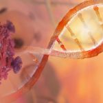 Rilevata mutazione genetica ereditaria in 1 paziente oncologico su 8