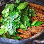 Ayahuasca: ecco il tè che stimola la neurogenesi
