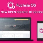 Lo sviluppo di google fuchsia os diventa aperto al pubblico