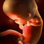 Microplastiche nella placenta umana: i risultati della ricerca italiana
