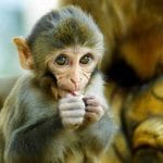 Riuscire a vedere senza usare gli occhi? Adesso è possibile