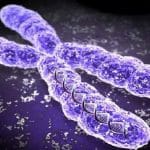 L’accorciamento dei telomeri aiuta a prevenire il cancro 