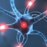 L'allenamento vibratorio migliora la condizione fisica e cognitiva nella sm