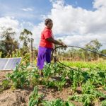 Sunculture, bboxx ed edf collaborano per espandere l'agricoltura sostenibile ad energia solare in togo