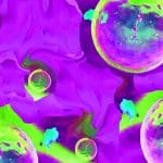 Glycorna: come le vescicole extracellulari entrano nelle cellule