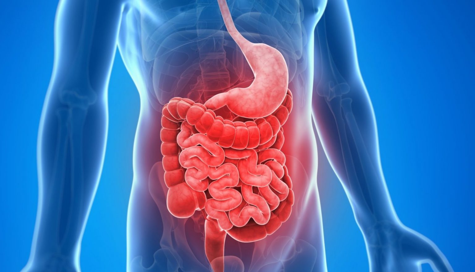 Nanomolecole: nuova terapia per il morbo di Crohn?