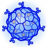 Nanogel a base di dna per una chemioterapia più mirata %nanogel a base di dna per una chemioterapia più miratacount(title)% Nanogel a base di dna per una chemioterapia più mirata