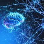 Cervello: è possibile riattivarlo con le cellule staminali? %cervello: è possibile riattivarlo con le cellule staminali? Count(title)% Cervello: è possibile riattivarlo con le cellule staminali?