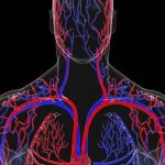 Infarto: idrogel ripara le lesioni cardiache %infarto: idrogel ripara le lesioni cardiachecount(title)% Infarto: idrogel ripara le lesioni cardiache