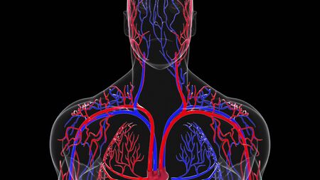 Infarto: idrogel ripara le lesioni cardiache