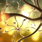 Neuritina: blocca le allergie e le malattie autoimmuni? %neuritina: blocca le allergie e le malattie autoimmuni? Count(title)% Neuritina: blocca le allergie e le malattie autoimmuni?