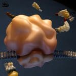 Scoperti 2 meccanismi alla base di sla e alzheimer %scoperti 2 meccanismi alla base di sla e alzheimercount(title)% Scoperti 2 meccanismi alla base di sla e alzheimer