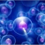 Molecola dusp16 influenza la risposta alla chemioterapia