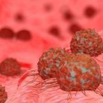 Cancro al seno: atlante cellulare mappa cellule sane e malate %cancro al seno: atlante cellulare mappa cellule sane e malatecount(title)% Cancro al seno: atlante cellulare mappa cellule sane e malate