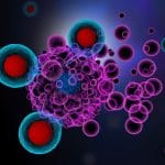 Cellule senescenti: scoperta strategia per eliminarle %cellule senescenti: scoperta strategia per eliminarlecount(title)% Cellule senescenti: scoperta strategia per eliminarle