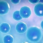 Ddpp: il biomarcatore digitale che guida le terapie antitumorali