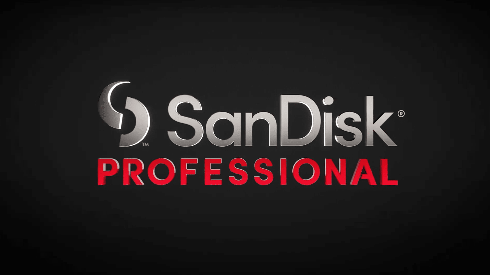 Sandisk professional