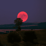 Eclissi lunare totale del 2021 e la superluna di sangue %eclissi lunare totale del 2021 e la superluna di sanguecount(title)% Eclissi lunare totale del 2021 e la superluna di sangue