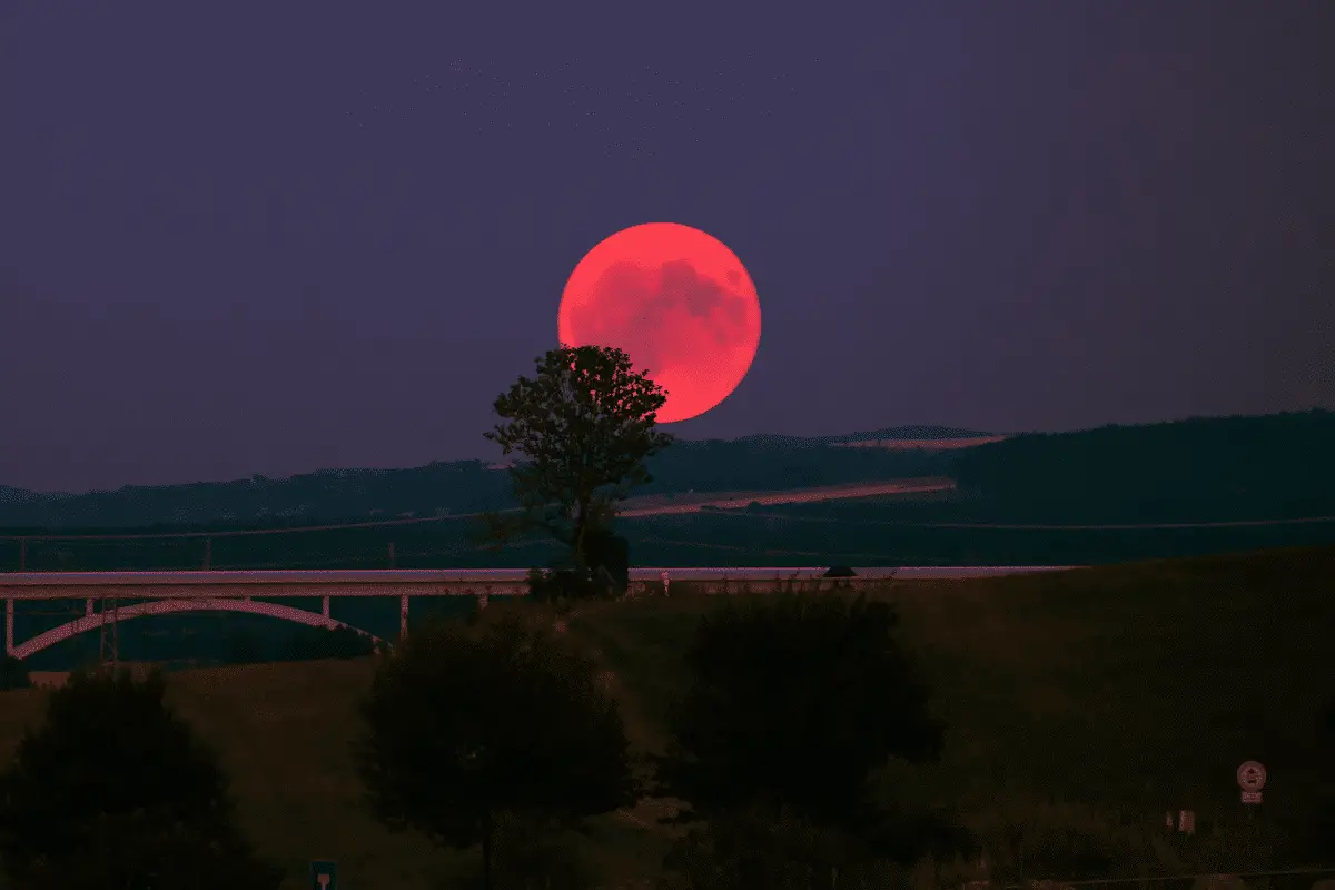 Eclissi lunare totale del 2021