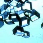 L'importanza dei marker precoci delle cardiopatie nel diabete 1 %l'importanza dei marker precoci delle cardiopatie nel diabete 1count(title)% L'importanza dei marker precoci delle cardiopatie nel diabete 1