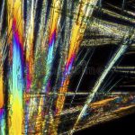 L'assunzione di aminoacidi determina il destino delle cellule tumorali