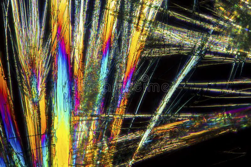 L'assunzione di aminoacidi determina il destino delle cellule tumorali