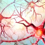 Molecola microrna-132 ringiovanisce il cervello con alzheimer %molecola microrna-132 ringiovanisce il cervello con alzheimercount(title)% Molecola microrna-132 ringiovanisce il cervello con alzheimer