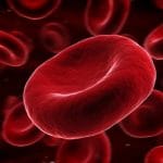 Adora2b: la proteina che aiuta a prevenire il declino cognitivo