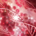 Microscopia crioelettronica: nuova speranza per il cancro al seno