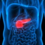 Identificati nuovi bersagli terapeutici per il diabete 1