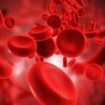 Trpm7: la proteina che impedisce alle cellule tumorali di diffondersi nel flusso sanguigno %trpm7: la proteina che impedisce alle cellule tumorali di diffondersi nel flusso sanguignocount(title)% Trpm7: la proteina che impedisce alle cellule tumorali di diffondersi nel flusso sanguigno