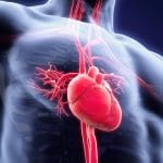 Cardiopatia infiammatoria: la morte improvvisa può essere prevenuta