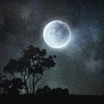 Calendario della luna piena nel 2021: tutte le date e gli orari %calendario della luna piena nel 2021: tutte le date e gli oraricount(title)% Calendario della luna piena nel 2021: tutte le date e gli orari